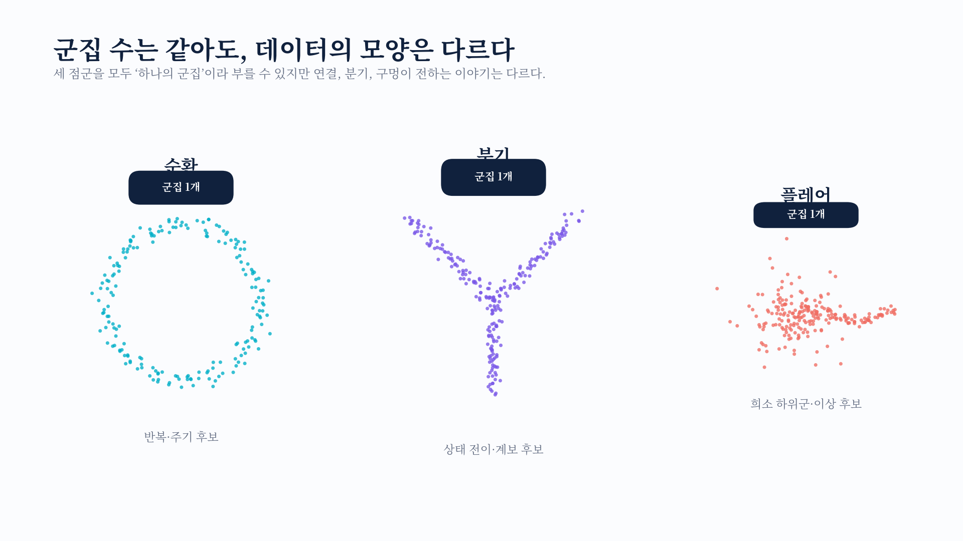 순환, 분기, 플레어 모양의 점군 비교