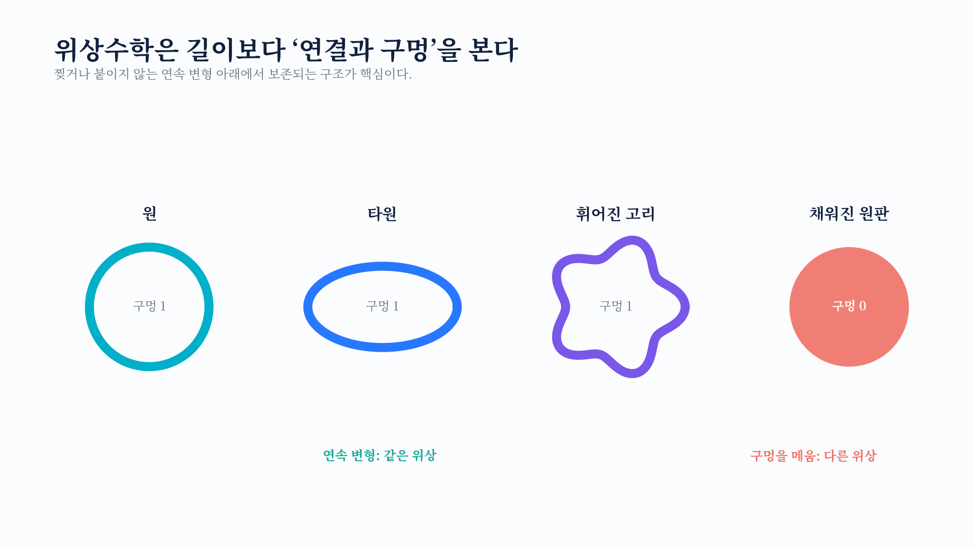 원, 타원, 휘어진 고리와 채워진 원판의 위상 비교